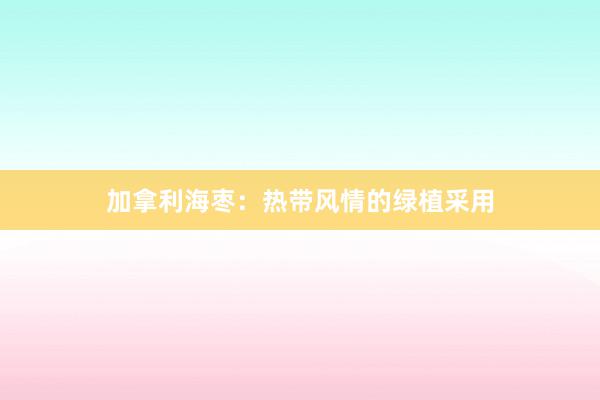 加拿利海枣：热带风情的绿植采用