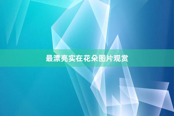 最漂亮实在花朵图片观赏