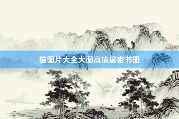 猫图片大全大图高清邃密书册
