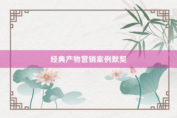 经典产物营销案例默契